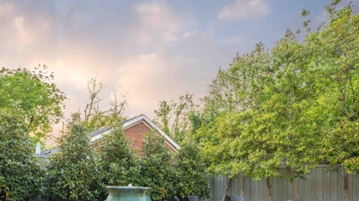 The Goldenchild Photo