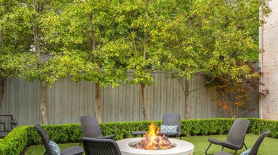 The Goldenchild Photo