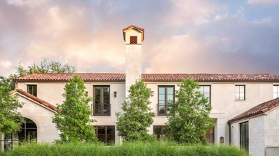 The Silver Fox Photo