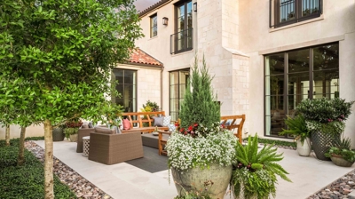 The Silver Fox Photo