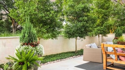 The Silver Fox Photo