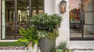 The Silver Fox Photo