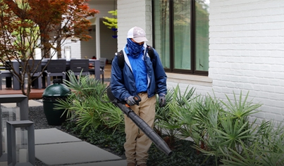 Landscape Maintenance