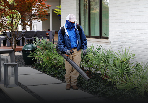 Landscape Maintenance